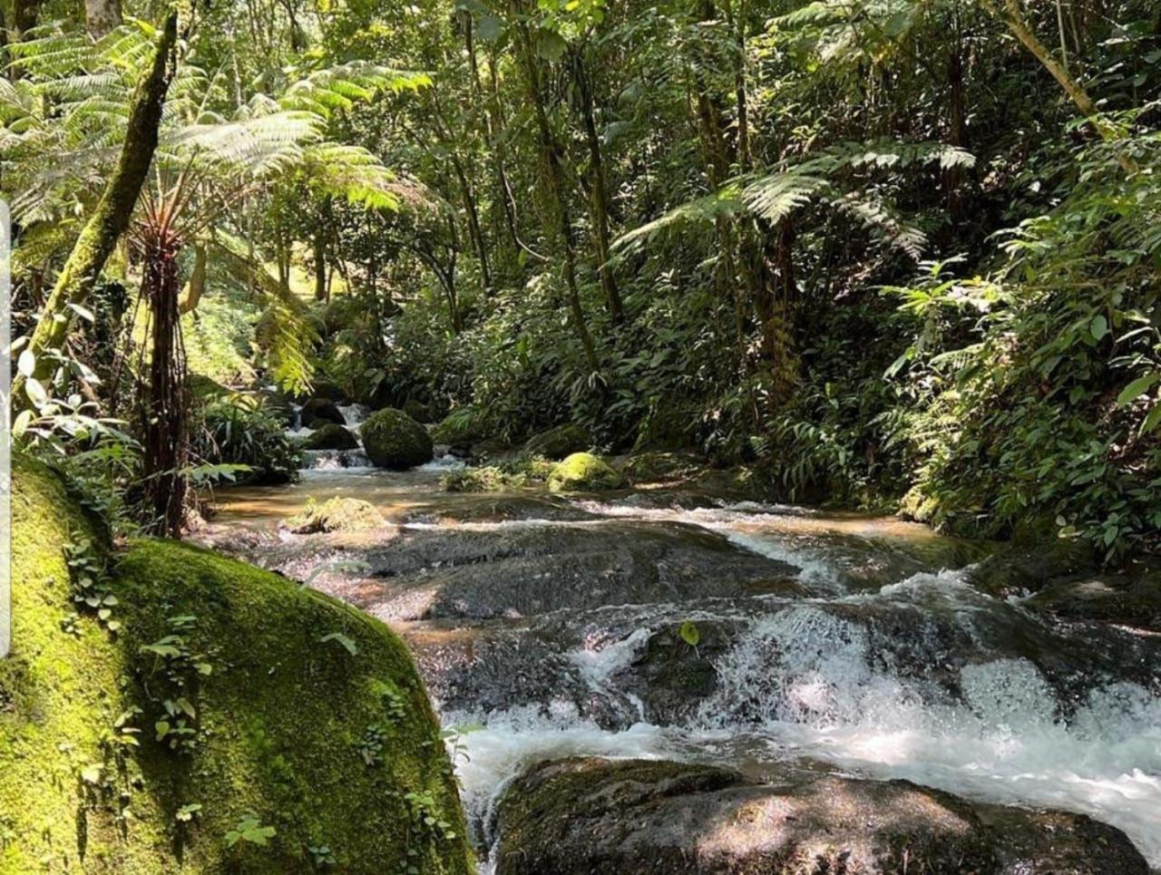 Pousada Caminhos De Gaia Sao Francisco Xavier Bagian luar foto