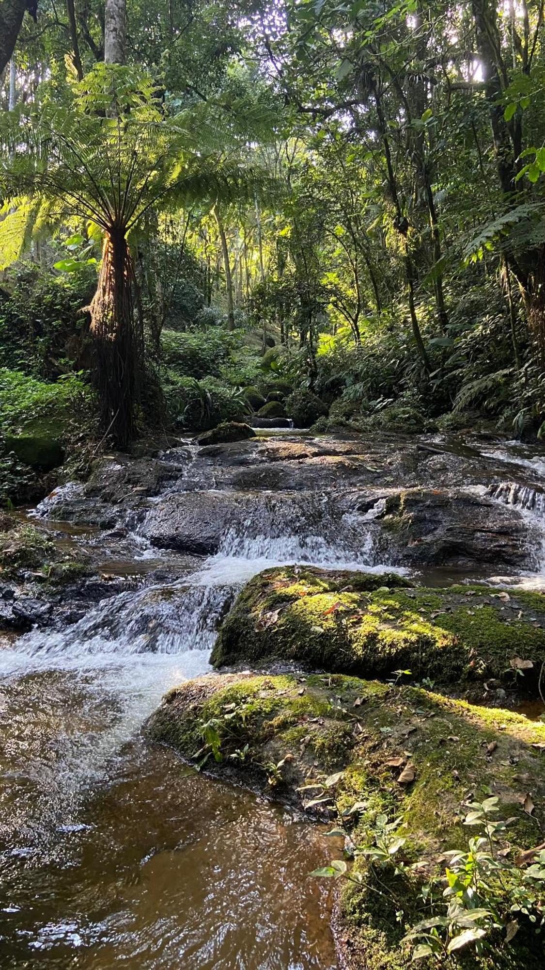 Pousada Caminhos De Gaia Sao Francisco Xavier Bagian luar foto